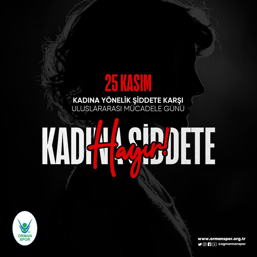 "KADINA ŞİDDETE DUR DE!"
